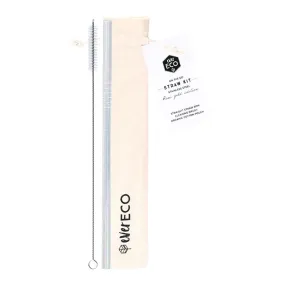 Ever Eco On the Go Stainless Steel Straw Kit